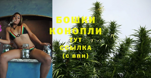 метадон Пестово