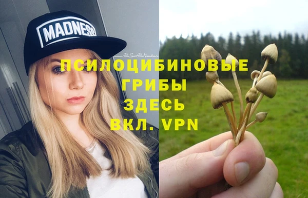 гашик Переславль-Залесский