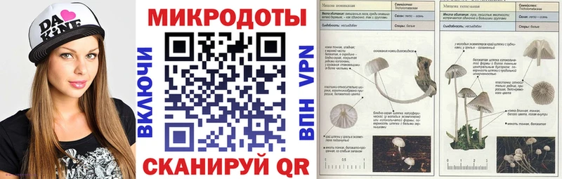 закладка  Луза  Галлюциногенные грибы GOLDEN TEACHER 